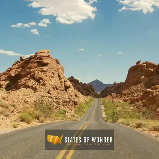 Zo werkt States of Wonder